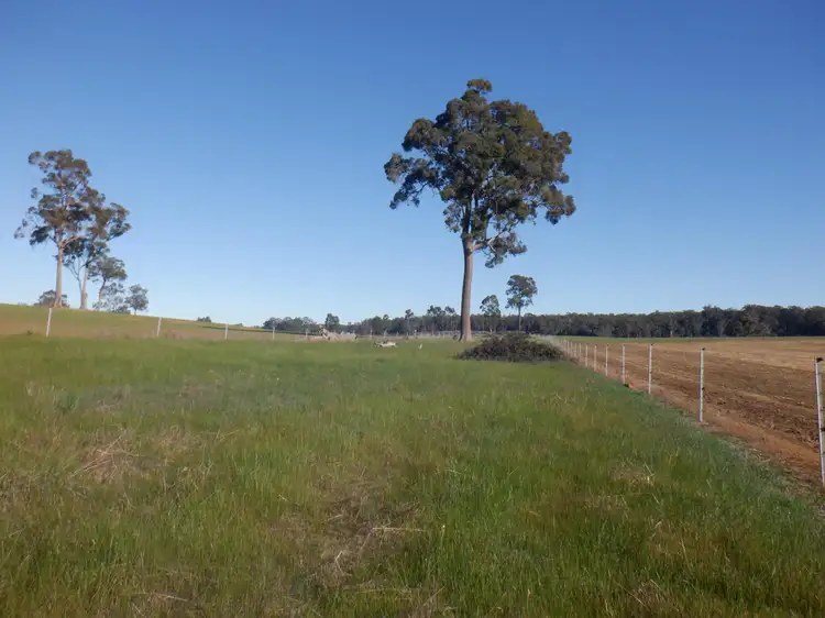 Fifth view of Homely rural property listing, Lot 9604 Ephraim Gully Road, Manjimup WA 6258