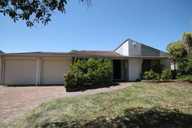 Main view of Homely house listing, 36 Croydon Avenue, Yokine WA 6060