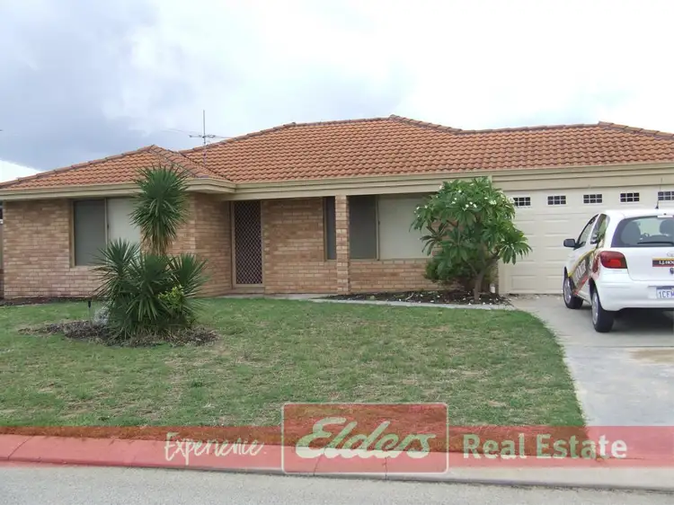 Main view of Homely house listing, 19 Ebony Elbow, Warnbro WA 6169