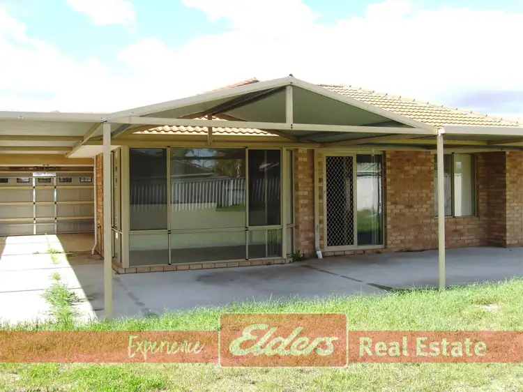 Third view of Homely house listing, 19 Ebony Elbow, Warnbro WA 6169