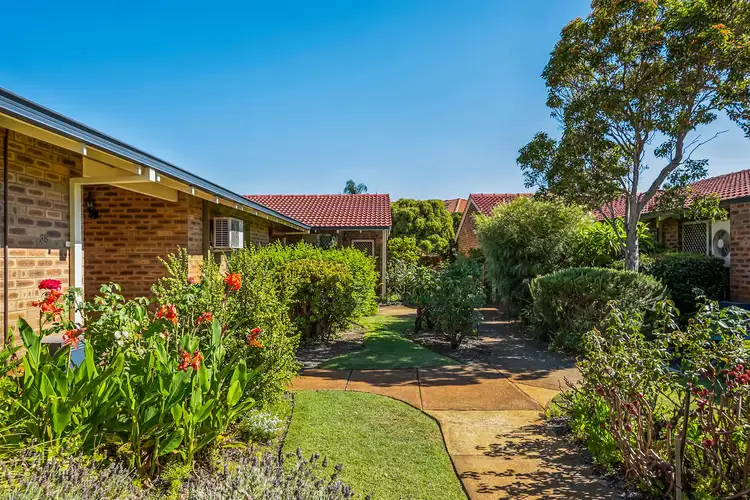 Main view of Homely villa listing, 38/10 Houtmans Street, Shelley WA 6148