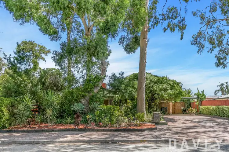 7 Lemongrass Terrace, Ballajura WA 6066
