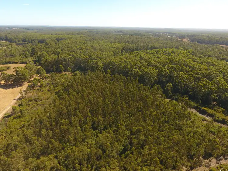 Seventh view of Homely rural property listing, Lot 2 Off Big Hill Brook Road, Northcliffe WA 6262