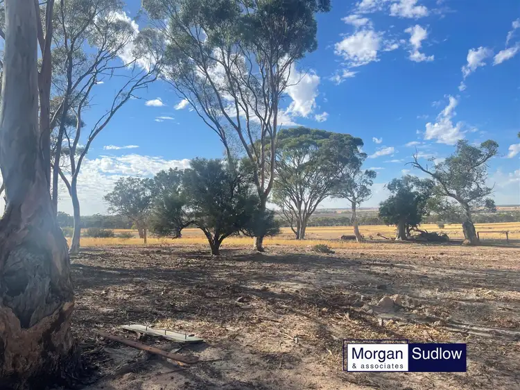 Main view of Homely rural property listing, LOT 607 GOOMALLING-WYALKATCHEM ROAD, Dowerin WA 6461