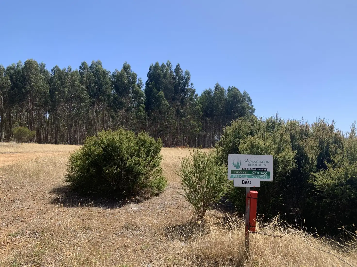 Main view of Homely rural property listing, Lot 1 Diagram 97548 Yubarl Road, Northcliffe WA 6262