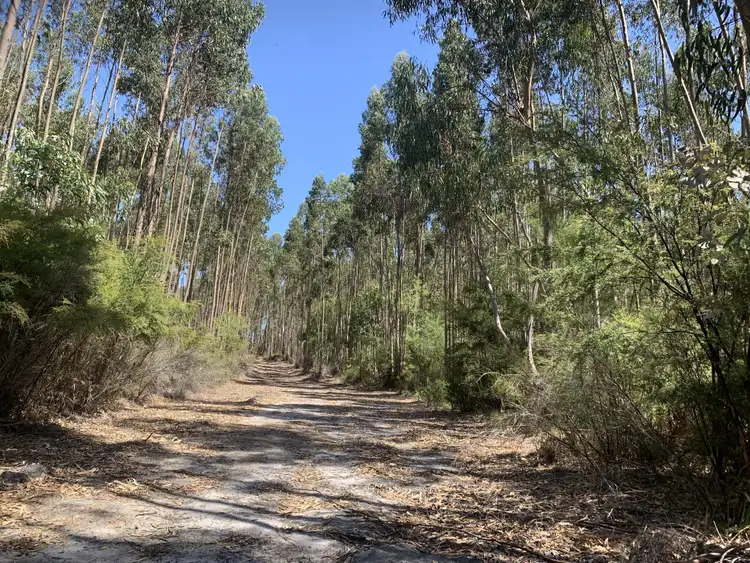 Seventh view of Homely rural property listing, Lot 1 Diagram 97548 Yubarl Road, Northcliffe WA 6262