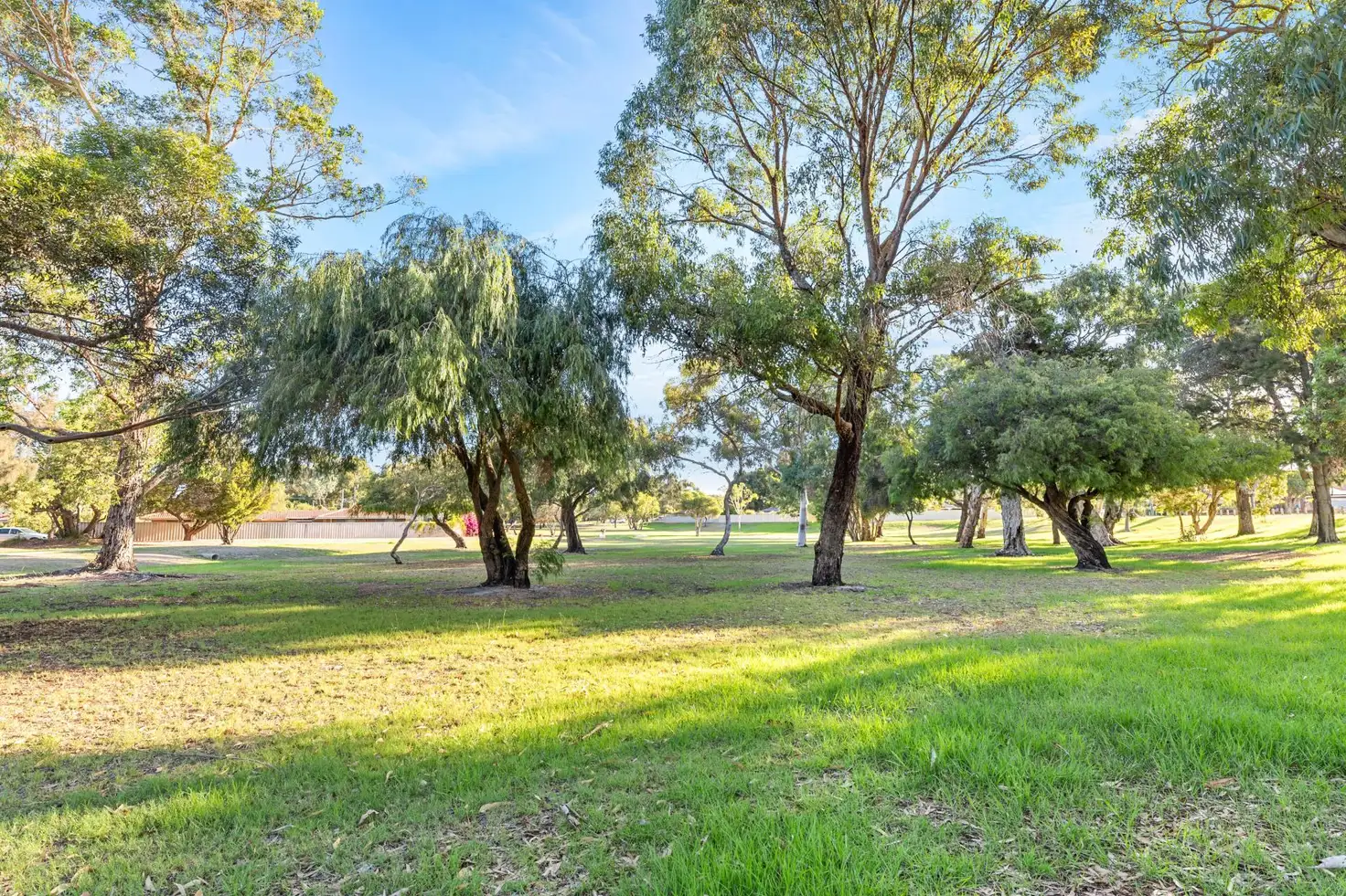Main view of Homely house listing, 88 Sandpiper Loop, Yangebup WA 6164