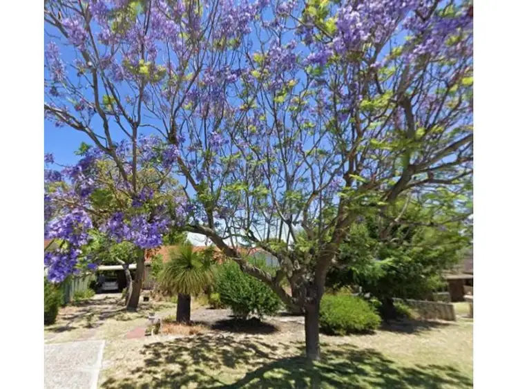 35 Shelshaw Street, Melville WA 6156