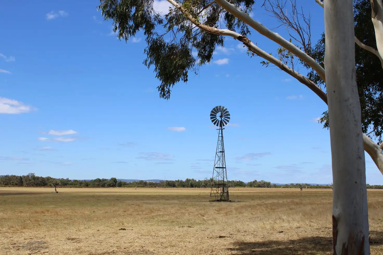 Main view of Homely rural property listing, 809 HENDERSON ROAD, Keysbrook WA 6126