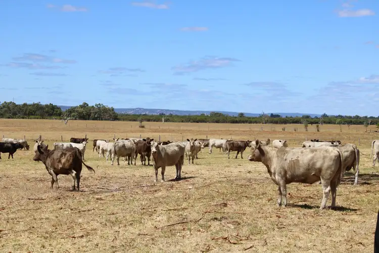 Fourth view of Homely rural property listing, 809 HENDERSON ROAD, Keysbrook WA 6126