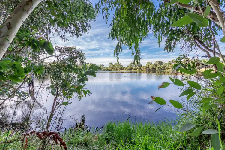 37 Mariposa Gardens, Success WA 6164
