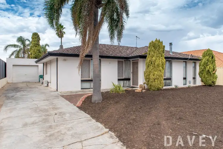 Main view of Homely house listing, 8 Tremont Place, Craigie WA 6025