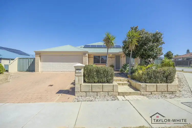 Main view of Homely house listing, 38 Shropshire Crescent, Butler WA 6036