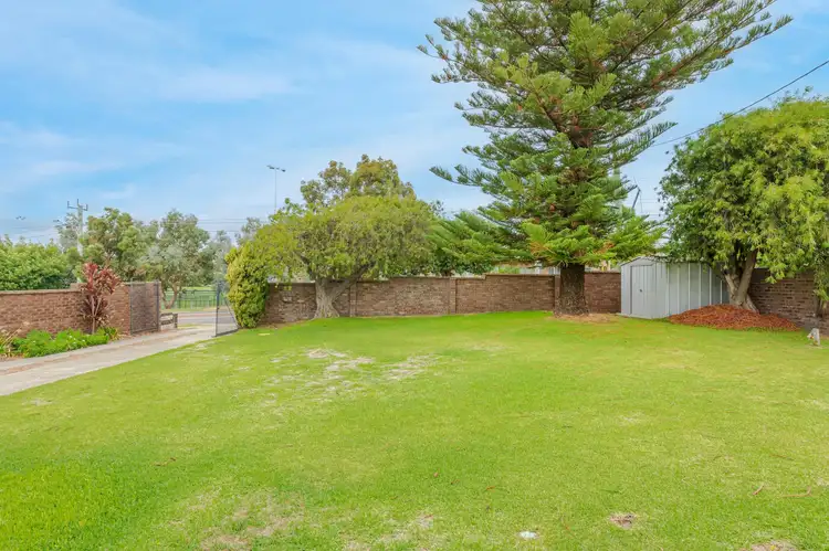 Fifth view of Homely house listing, 177 Cape Street, Tuart Hill WA 6060