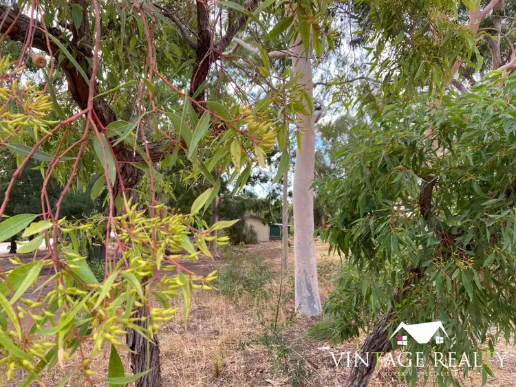 Main view of Homely house listing, 88 Park Road, Byford WA 6122