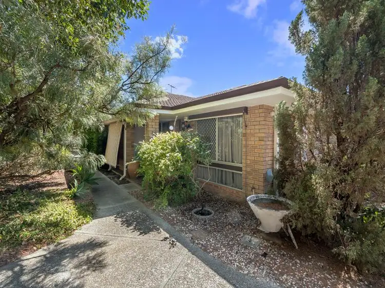 Main view of Homely house listing, 4/64 Fifth Road, Armadale WA 6112