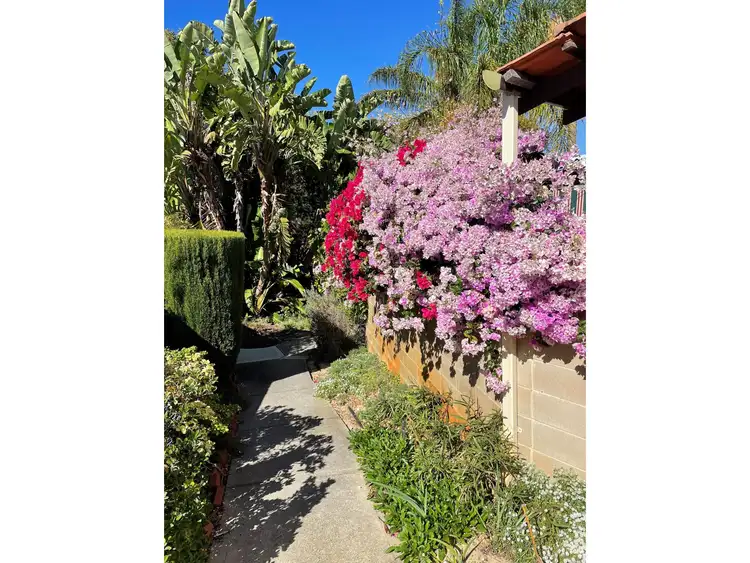 Main view of Homely retirement listing, 508/55 Belgrade Road, Wanneroo WA 6065