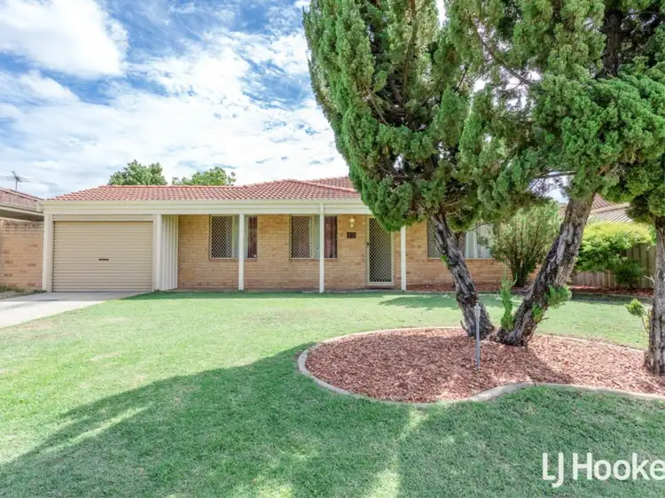 19 Nyandi Court, Thornlie WA 6108
