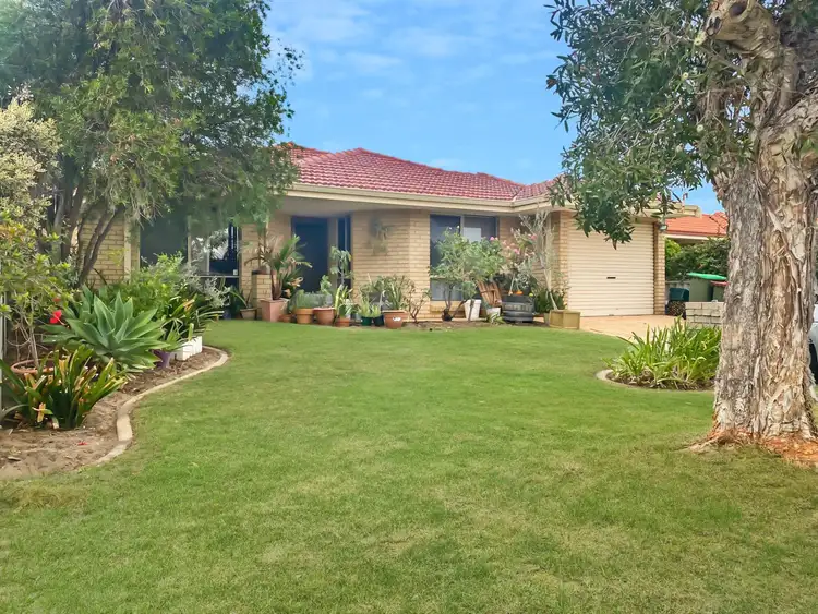 19A Bamford Place, Balcatta WA 6021