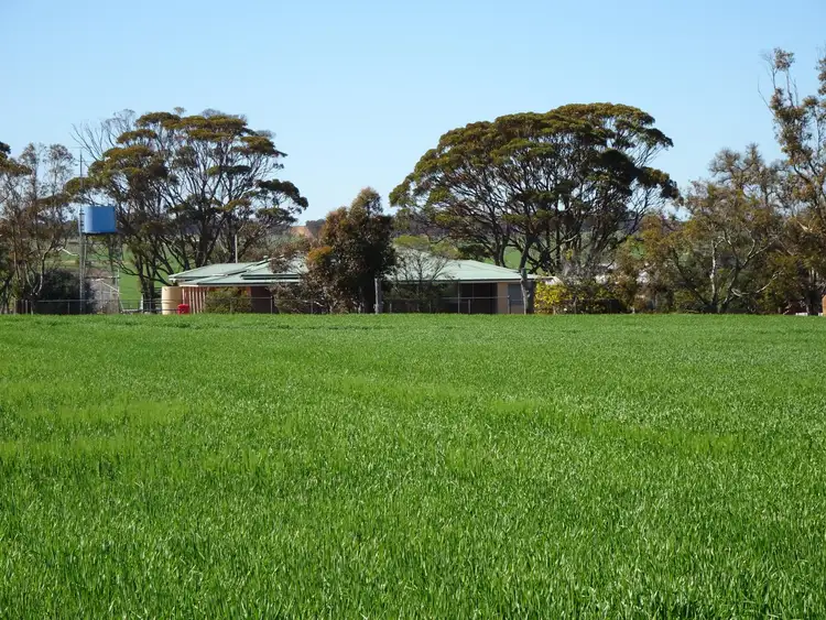 Main view of Homely rural property listing, Lot 22 Wilsons Road, Jitarning WA 6365