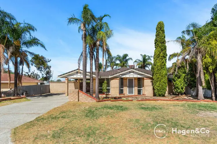 6 Allamanda Gardens, Mirrabooka WA 6061