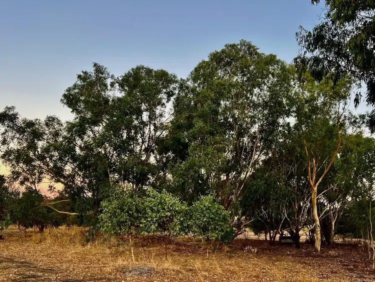 Sixth view of Homely rural property listing, 1089 Crossman Road, Crossman WA 6390