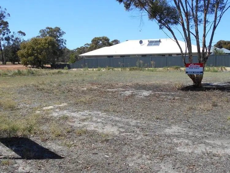 31 Marmion Street, Katanning WA 6317