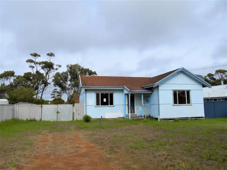 Main view of Homely house listing, 11 Armstrong Street, Cranbrook WA 6321