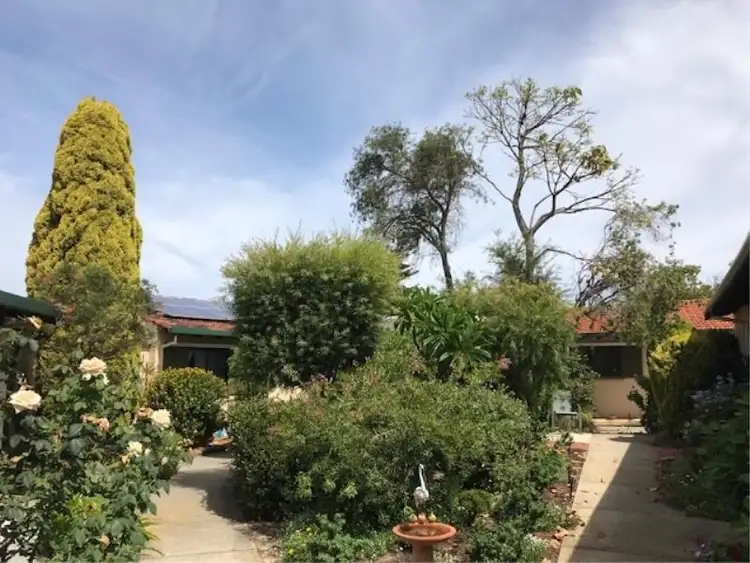 Second view of Homely retirement listing, 112/55 Belgrade Road, Wanneroo WA 6065