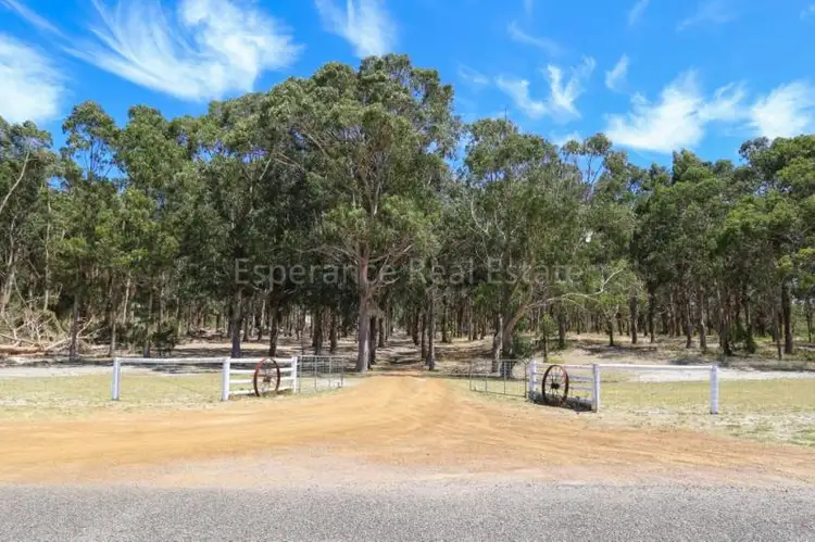 Main view of Homely rural property listing, 39 Spencer Road, Pink Lake WA 6450