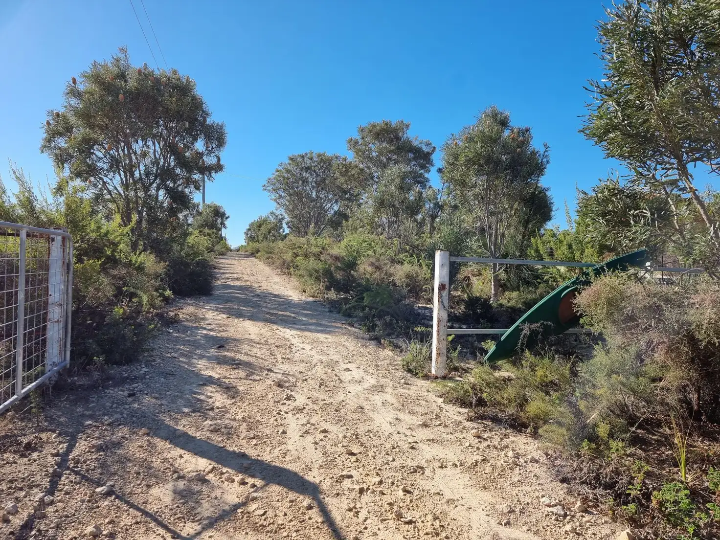Main view of Homely house listing, 210 Ocean Farm Drive, Nilgen WA 6044