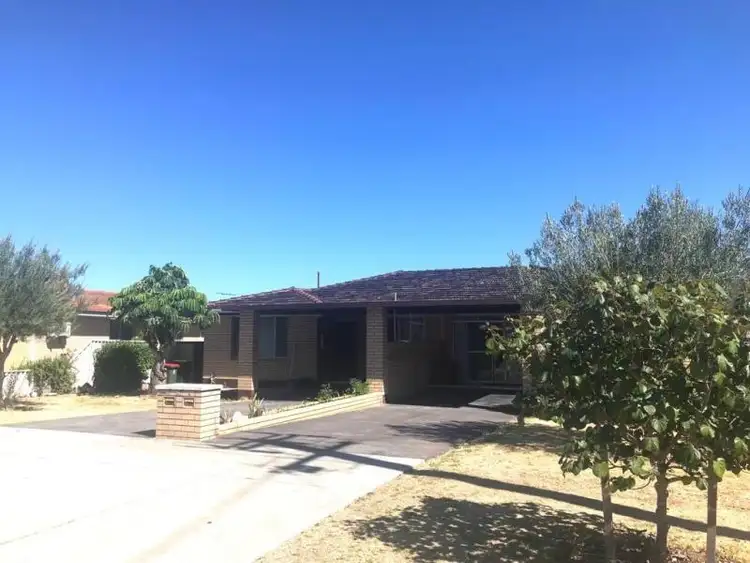 Main view of Homely semi-detached listing, 217 Albert Street, Osborne Park WA 6017