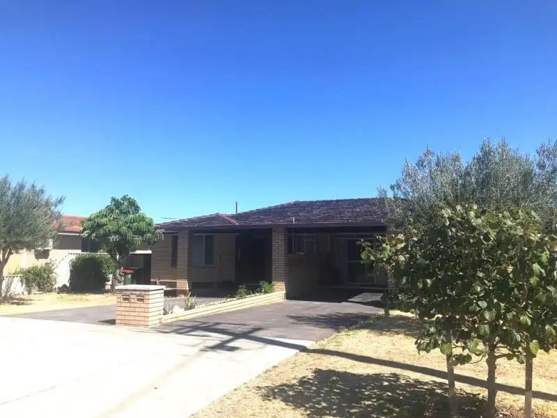 Main view of Homely semi-detached listing, 217 Albert Street, Osborne Park WA 6017