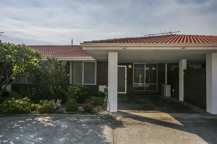 Main view of Homely villa listing, 3/164-166 Waterloo Street, Tuart Hill WA 6060