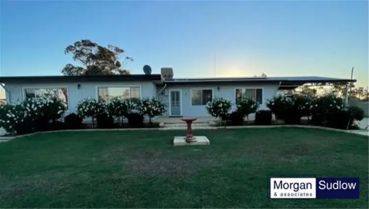 LOT 154 RILEY ROAD, Trayning WA 6488