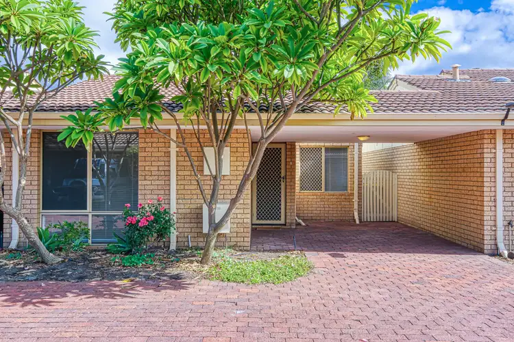 Main view of Homely unit listing, 8/49 Mosaic Street E, Shelley WA 6148