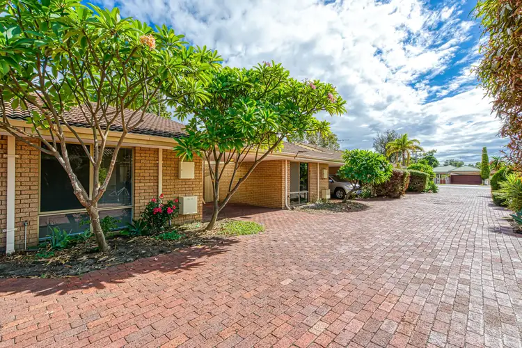 Second view of Homely unit listing, 8/49 Mosaic Street E, Shelley WA 6148