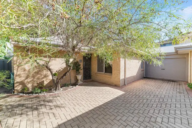Main view of Homely house listing, 3/366 Hector Street, Yokine WA 6060