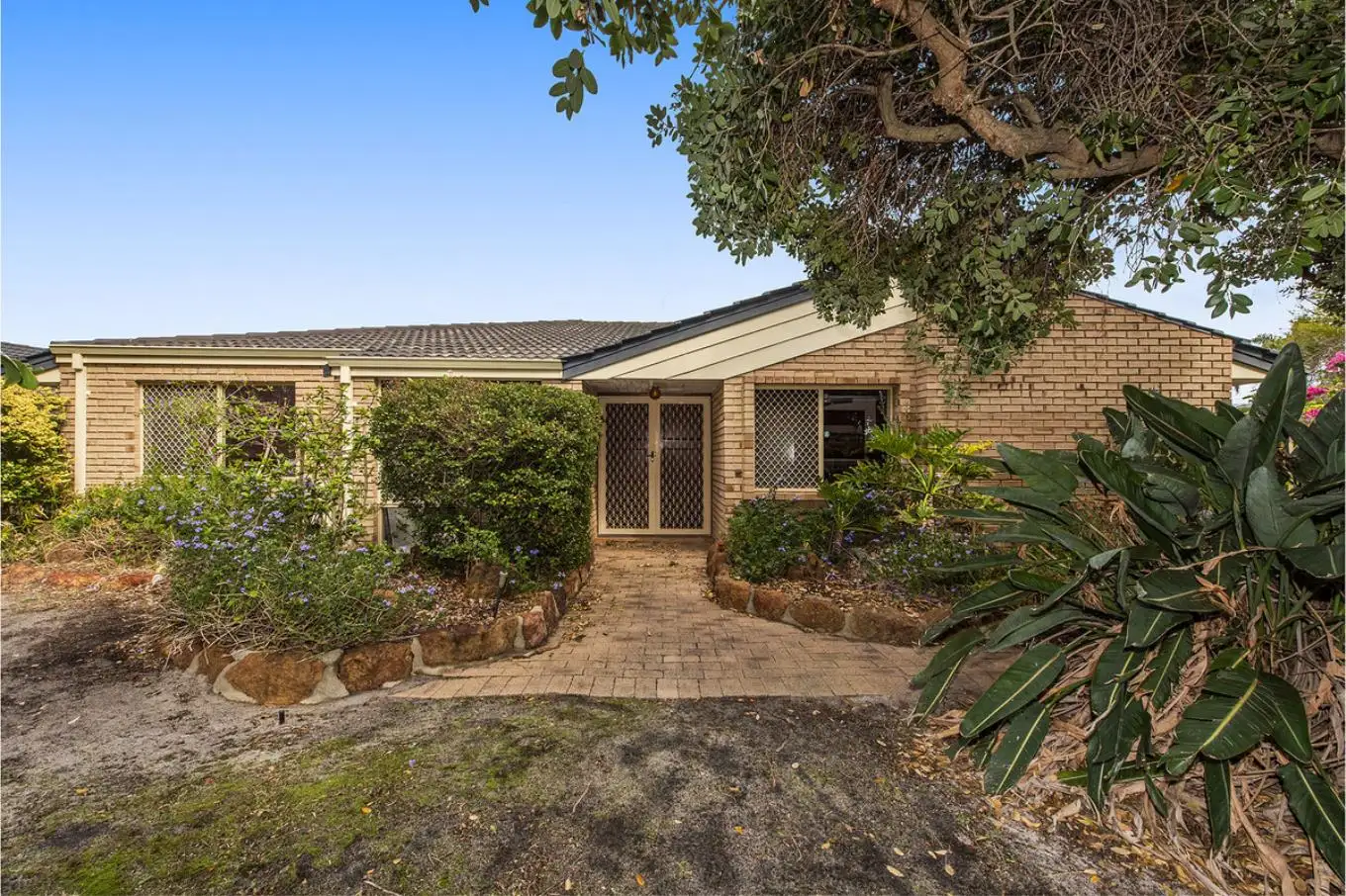 Main view of Homely house listing, 19 Honeysuckle Ramble, Halls Head WA 6210