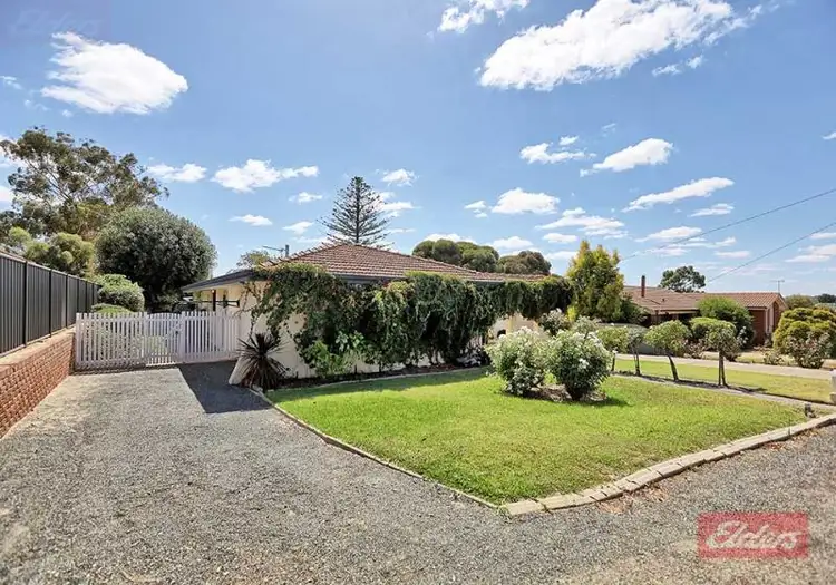 49 SYDNEY HALL WAY, Narrogin WA 6312