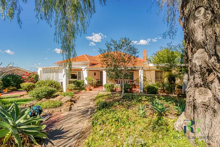 20 Kitchener Road, Melville WA 6156
