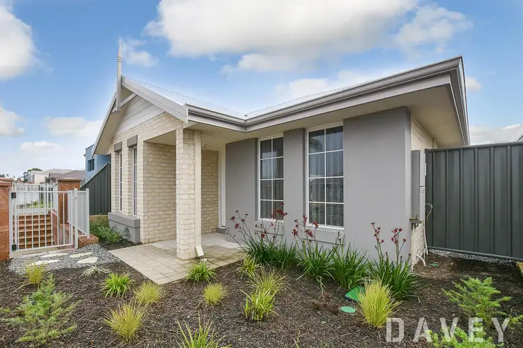 Main view of Homely house listing, 257 Grandis Boulevard, Banksia Grove WA 6031