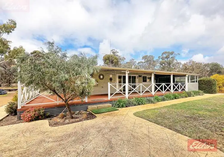 Main view of Homely house listing, 62 Lefroy Street, Narrogin WA 6312