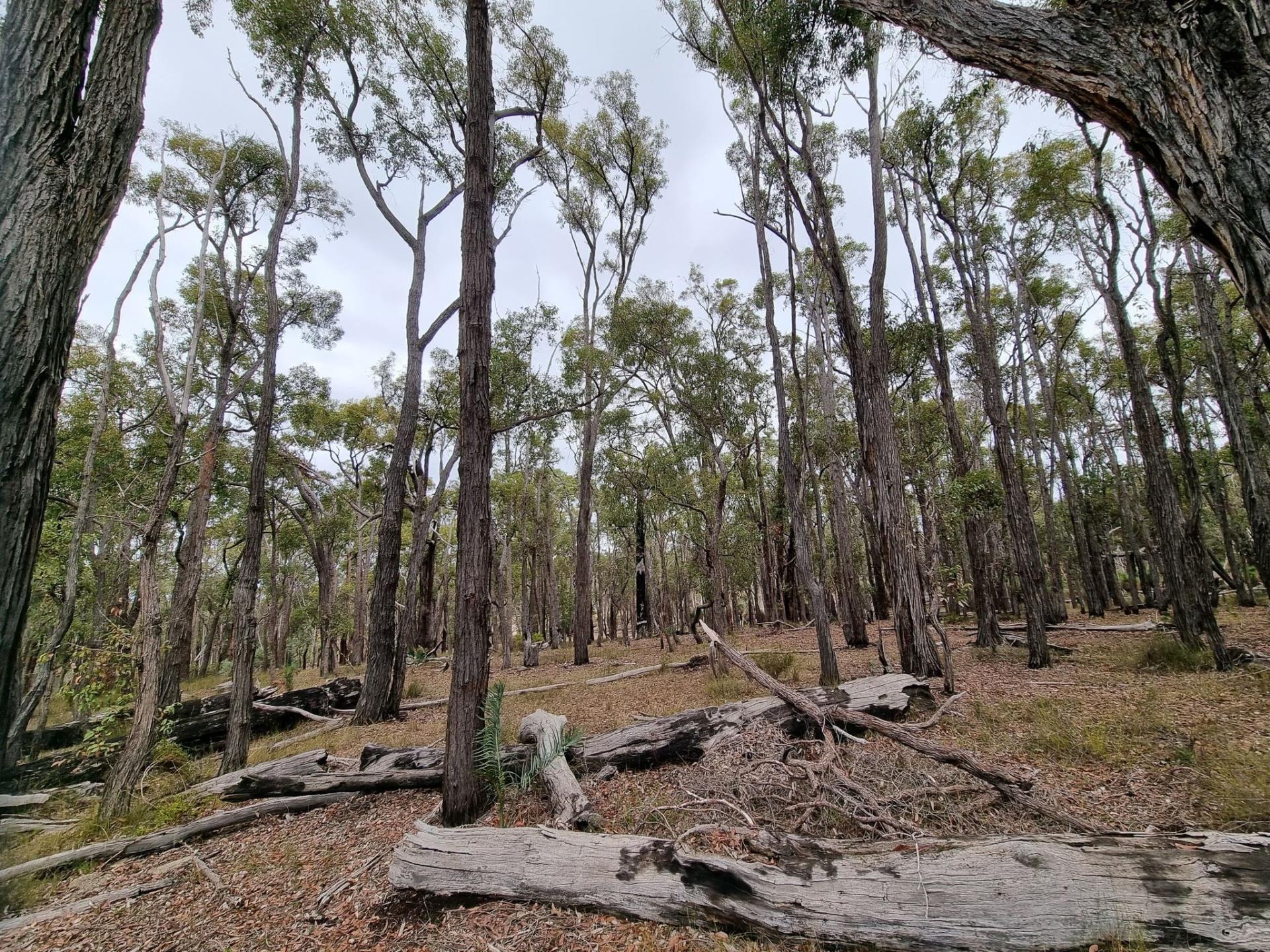 309 Abels Road, Boyup Brook WA 6244