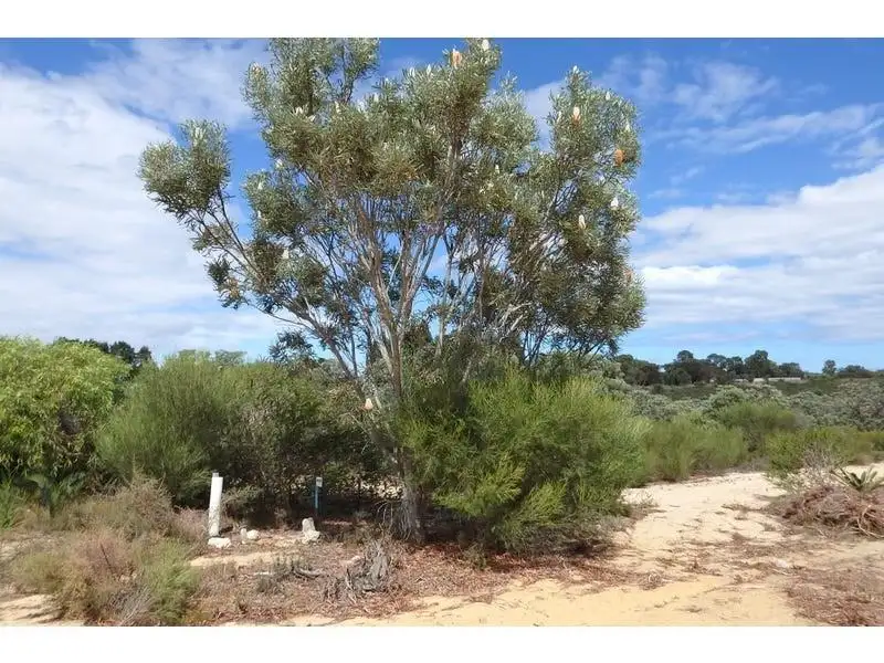Main view of Homely land listing, Lot 30, 67 Kangaroo Way, Nilgen WA 6044