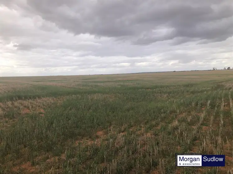 Main view of Homely rural property listing, RURAL LANDHOLDING, South Trayning WA 6488