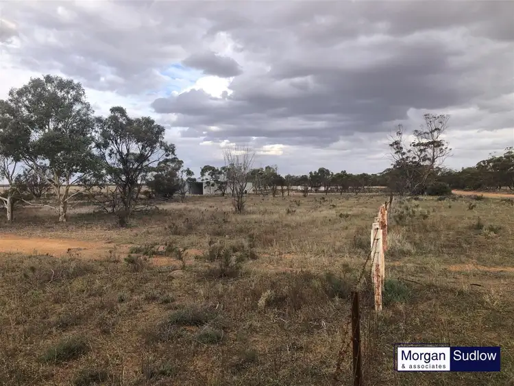 Second view of Homely rural property listing, RURAL LANDHOLDING, South Trayning WA 6488