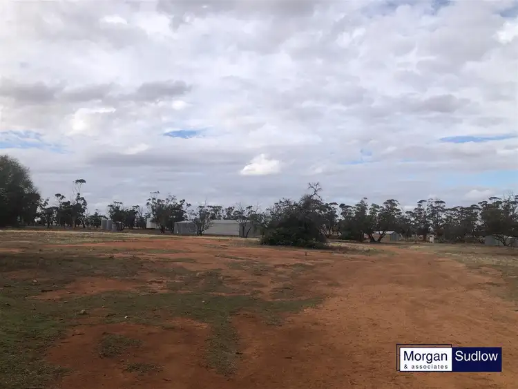 Third view of Homely rural property listing, RURAL LANDHOLDING, South Trayning WA 6488