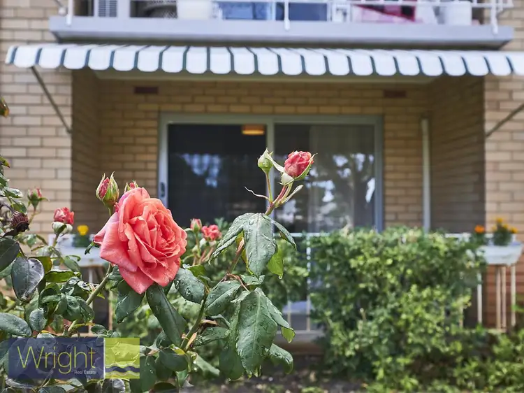 Main view of Homely unit listing, 3/92 Sixth Avenue, Maylands WA 6051
