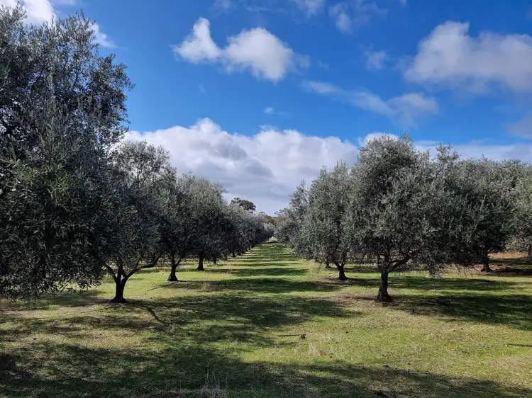 Second view of Homely land listing, 25 Kaufmann Close, Boyup Brook WA 6244